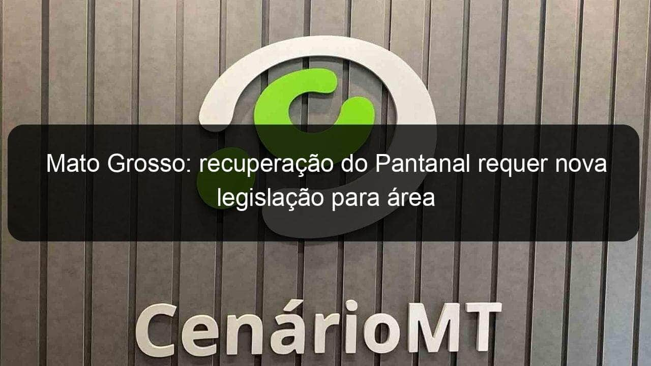 mato grosso recuperacao do pantanal requer nova legislacao para area 998311