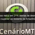 mato grosso reduz em 21 alertas de desmatamento numero superior ao restante da amazonia legal 1063468