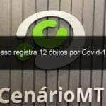 mato grosso registra 12 obitos por covid 19 em 24h 985230