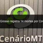 mato grosso registra 14 mortes por covid 19 1069702