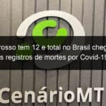 mato grosso tem 12 e total no brasil chega a 323 novos registros de mortes por covid 19 nas ultimas 24 horas 971513