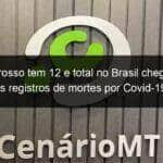 mato grosso tem 12 e total no brasil chega a 323 novos registros de mortes por covid 19 nas ultimas 24 horas 971513