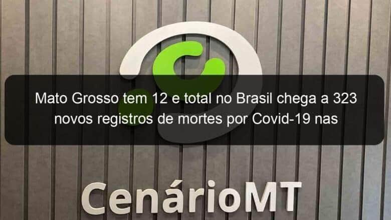 mato grosso tem 12 e total no brasil chega a 323 novos registros de mortes por covid 19 nas ultimas 24 horas 971513
