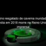 menino resgatado de caverna inundada na tailandia em 2018 morre no reino unido diz imprensa 1328930