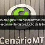 ministerio da agricultura busca formas de ampliar escoamento da producao de leite 905480