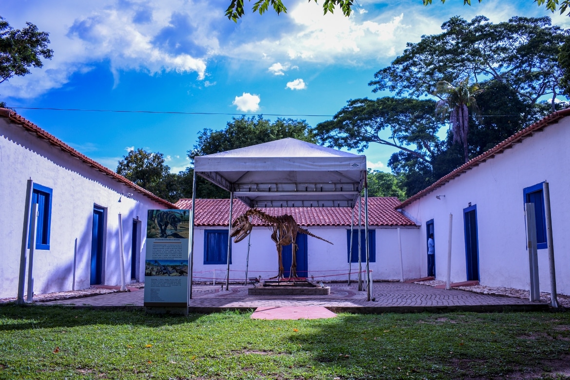 museu de historia natural celebra mes das criancas com atividades ao publico infantil interna 2 2023 10 06 1318587878