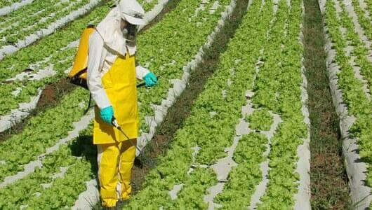 Na véspera de votação, Fiocruz alerta Senado sobre uso de agrotóxicos - Foto: Divulgação/Fiocruz