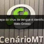 nova cepa do virus da dengue e identificado em mato grosso 1146330