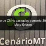 numero de cnhs cassadas aumenta 388 em mato grosso 891070