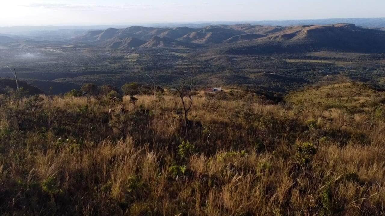 Brasília (DF) - ESPECIAL PARA DOMINGO - Por: TV Brasil