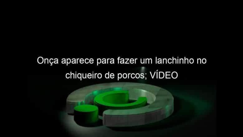 onca aparece para fazer um lanchinho no chiqueiro de porcos video 1134816