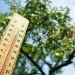 Mato Grosso e outros estados do país enfrentarão onda de calor intenso nos próximos dias