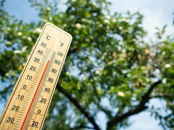 Mato Grosso e outros estados do país enfrentarão onda de calor intenso nos próximos dias