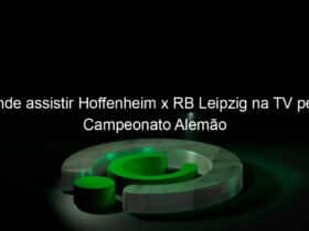 onde assistir hoffenheim x rb leipzig na tv pelo campeonato alemao 921796