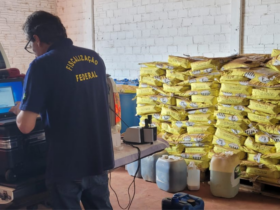 Operação apreende 45 toneladas de agrotóxicos e 61 toneladas de sementes ilegais no Paraná