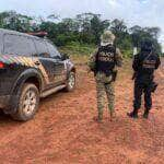 operacao ya mirim pf em acao conjunta combate crimes ambientais no am