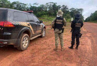 operacao ya mirim pf em acao conjunta combate crimes ambientais no am