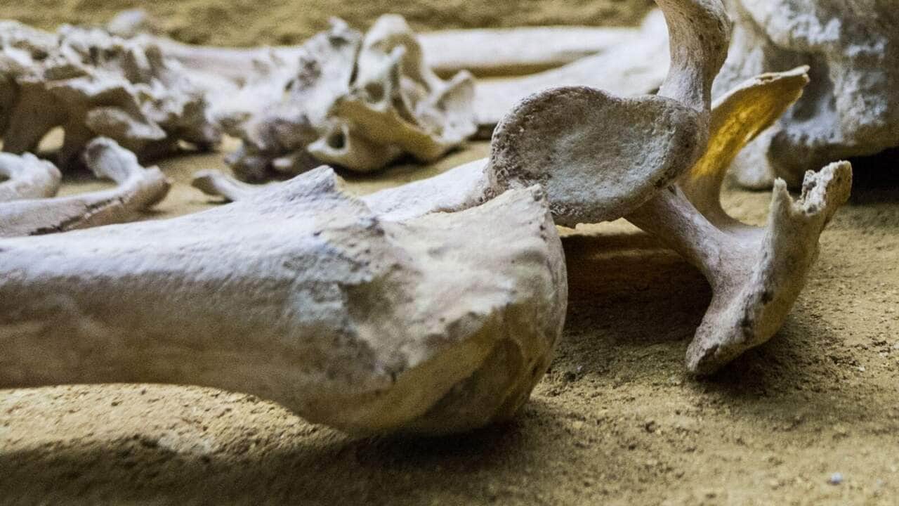 Corpo estava em estágio avançado de decomposição.