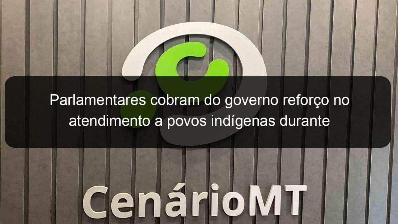 parlamentares cobram do governo reforo no atendimento a povos indgenas durante pandemia 946677