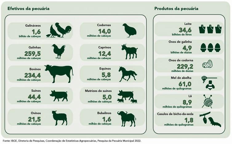 Brasília (DF) 20/09/2023 - ILUSTRAÇÕES - Pecuária brasileira colecionou recordes em 2022, aponta IBGE Fonte IBGE/Divulgação