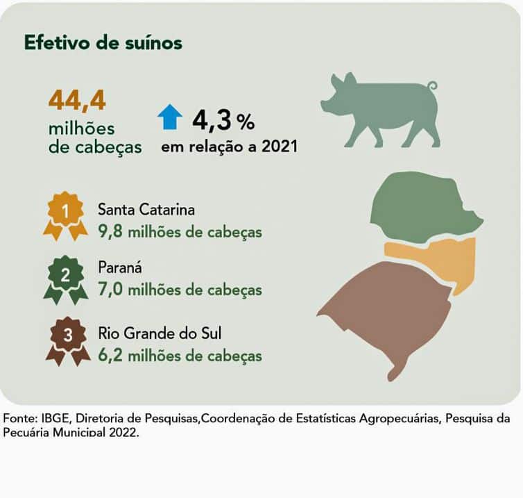 Brasília (DF) 20/09/2023 - ILUSTRAÇÕES - Pecuária brasileira colecionou recordes em 2022, aponta IBGE Fonte IBGE/Divulgação