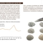 pesquisa procura popularizar o uso do po de rocha na producao agricola e em pastagens interna 1 2023 10 20 2277604670