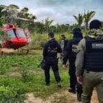 pesquisa traca conexoes entre narcotrafico e crimes ambientais no pais scaled 1