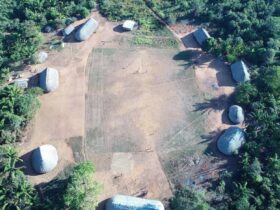 MPF investiga sobreposição de fazenda em área indígena no Mato Grosso