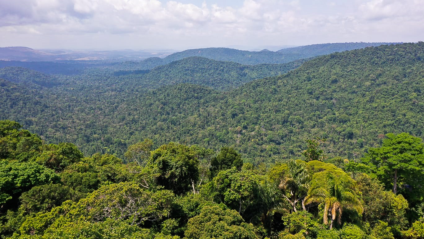 Mato Grosso lidera desmatamento na Amazônia Legal no primeiro bimestre de 2024 Por: TV Brasil