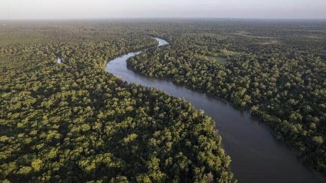 Petrobras faz sua primeira compra de créditos de carbono - Foto: Divulgação/Petrobras