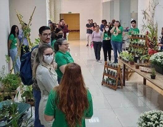 pge promove encontro para doacao e troca de mudas de plantas nesta quarta feira 07 capa 2023 06 04 2023 06 04 519022987