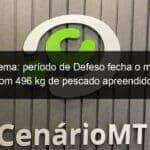 piracema periodo de defeso fecha o mes de outubro com 496 kg de pescado apreendido em mt 987794
