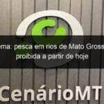piracema pesca em rios de mato grosso esta proibida a partir de hoje 1211009