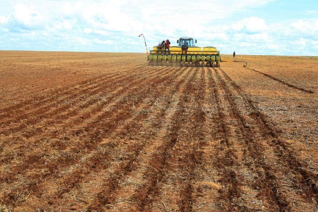 plantio de soja em mato grosso deve iniciar em 16 de setembro