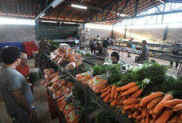 precos da cenoura e do mamao caem nos principais mercados atacadistas