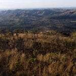 preservacao do cerrado no df e tema do caminhos da reportagem