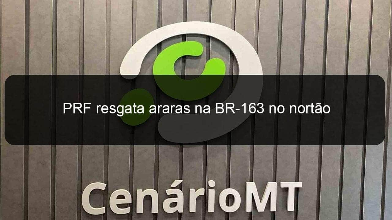 prf resgata araras na br 163 no nortao 909400