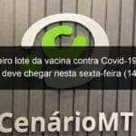 primeiro lote da vacina contra covid 19 para criancas deve chegar nesta sexta feira 14 em mt 1103113