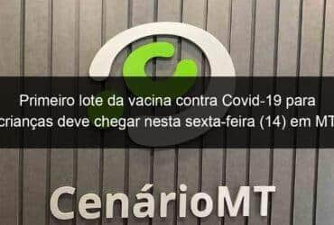 primeiro lote da vacina contra covid 19 para criancas deve chegar nesta sexta feira 14 em mt 1103113