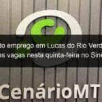 procurando emprego em lucas do rio verde confira as vagas nesta quinta feira no sine 800694