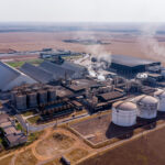 O avanço da produção industrial deve aumentar a demanda por biomassa em Mato Grosso  - Foto por: Rafael D Marques/Secom-MT