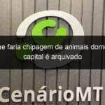 projeto que faria chipagem de animais domesticos na capital e arquivado 1296390