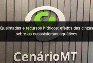 queimadas e recursos hidricos efeitos das cinzas sobre os ecossistemas aquaticos 986152