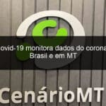 radar covid 19 monitora dados do coronavirus no brasil e em mt 909323