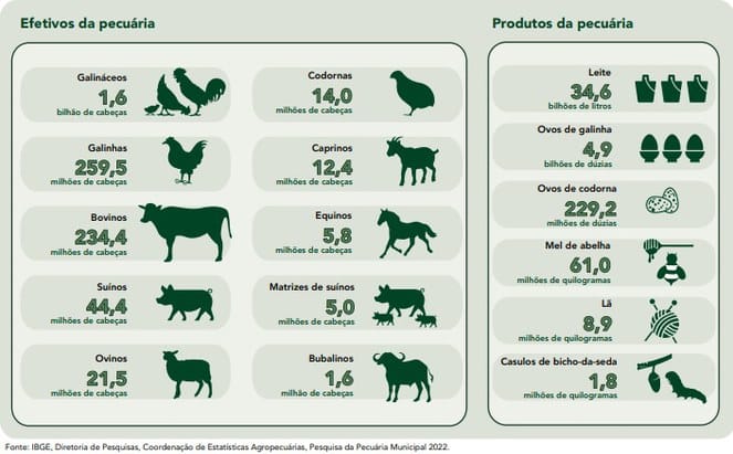 Rebanho bovino brasileiro alcançou recorde de 234,4 milhões de animais em 2022