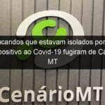 reeducandos que estavam isolados por terem testado positivo ao covid 19 fugiram de cadeia em mt 1025567