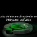 reencontro de tutora e cao rottweiler emociona internautas veja video 1137783