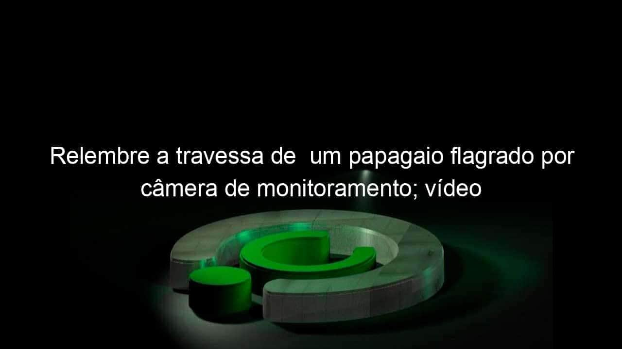 relembre a travessa de um papagaio flagrado por camera de monitoramento video 1083270