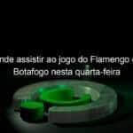 saiba onde assistir ao jogo do flamengo contra o botafogo nesta quarta feira 1026226