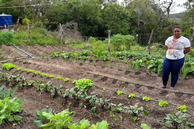 sancionada lei que torna cangucu rs capital nacional da agricultura familiar